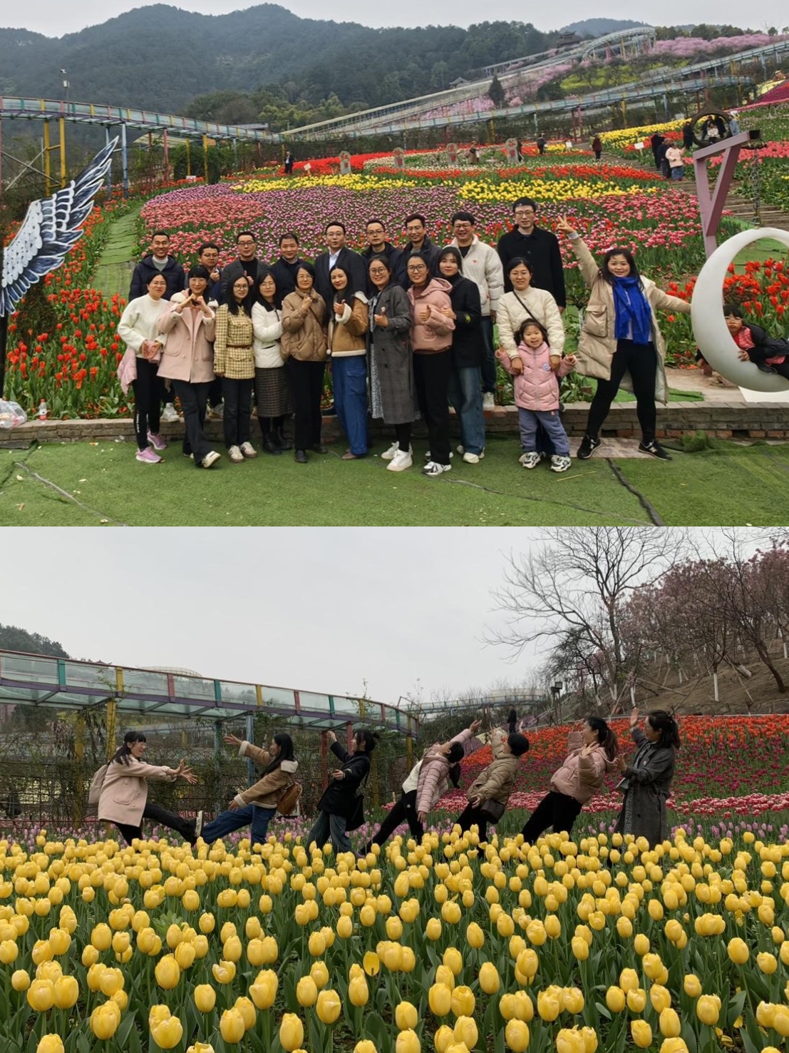 QQ图片20240317205514.jpg